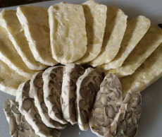 Koperasi BUMR Dorong Penggunaan Kacang Koro Stop Impor Kedelai