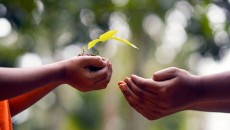 Sedekah Oksigen, Ternyata Ini yang Dilakukan Komunitas Teduh Bumi