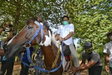Menikmati Keindahan Desa Wisata Alam Gosari di Gresik dengan Tunggangi Kuda
