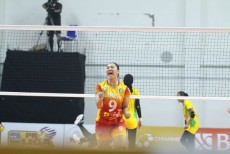 Jakarta Elektrik PLN Manfaatkan Momentum untuk Putaran 2 PLN Mobile Proliga 2022