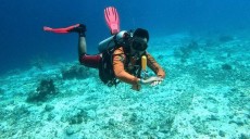 Mengulik Pesona Pantai Pinang, Surga di Ujung Selatan Sulawesi