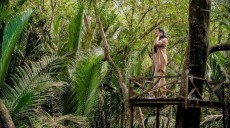 Desa Wisata Sungai Kupah Kembangkan Ekowisata Mangrove