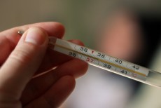 Sebabkan Demam Thypoid, Ini Bahaya Salmonella dan Cara Atasinya