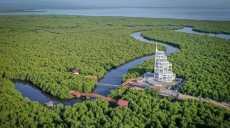 Tower Mangrove Forest Park Langsa jadi Ikon Pariwisata Baru di Aceh