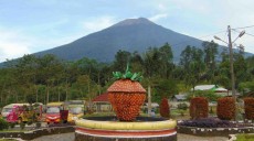Lembah Asri Serang, Serunya Memetik Strowberi di Kaki Gunung Slamet