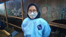 50 Personel Diturunkan untuk Cek Kondisi Hewan Kurban di Bekasi