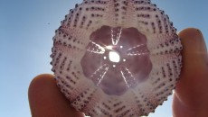 Tips Berwisata saat Cuaca Panas, Perhatikan Kesehatan Kulit