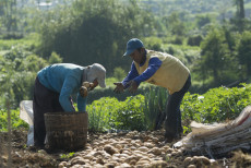 Tafsir Ar-Rum Ayat 39: Allah Melipatgandakan Pahala Orang Berzakat