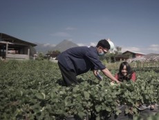 Desa Wisata Pandanrejo, Lumbung Stroberi di Kota Batu