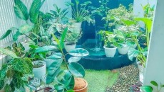 3 Desain Taman Belakang untuk Rumah Subsidi, Jadikan Area Hijau