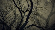 Mitos Malam Jumat Angker di Indonesia, Begini Penjelasan Ustaz Rahman