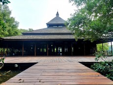 Suguhkan Nuansa Alam, Ini Tampilan Masjid di Belantara Mangrove