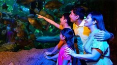 Sea World Ancol Bakal Hadirkan Fashion Show Batik di Dalam Air