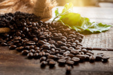 Tips Membangun Bisnis Kopi di Tengah Padatnya Persaingan