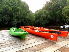 Sempat Ditolak Warga, Taman Wisata Mangrove Kini Ramai Dikunjungi