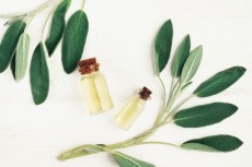 Teruji Ilmiah, 6 Makanan dan Herbal Ini Tajamkan Daya Ingat Hafiz Quran