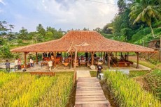 Rekomendasi 5 Restoran Bernuansa Pedesaan untuk Akhir Pekan