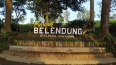 Piknik ke Perkebunan Teh di Puncak Belendung Goalpara Sukabumi