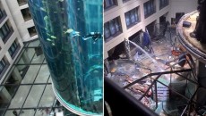 Akuarium Raksasa di Berlin Meledak, 1.500 Ikan Eksotis Mati
