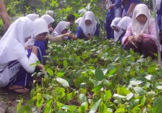 Ekopesantren, Langkah Nyata Pesantren Selamatkan Lingkungan