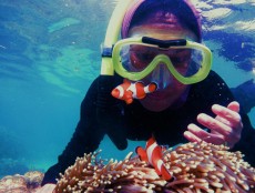 Taman Wisata Bawah Laut, Spot Snorkling Menarik di Lampung Selatan
