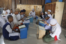 Kemenag Luncurkan Aplikasi Al-Quran Berbahasa Isyarat untuk Tunarungu