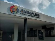 Liburan Sekolah, Yuk Belajar Mengenal Satwa di Animalium BRIN!