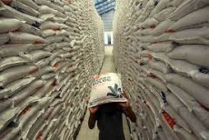 Hasil Panen Petani Menurun Akibat El Nino, Presiden Harap Tambah Cadangan Beras