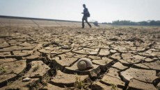 Petani Gagal Panen karena El Nino, Ahli Ekonomi Soroti Strategi Mitigasi