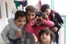 MUI Jayapura Serahkan Donasi Rp 114 Juta untuk Rakyat Palestina