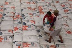 Jelang Ramadhan, Presiden Klaim Pastikan Stok Beras Nasional Baik