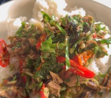 Resep Tumis Daun Kencur Tongkol, Menu Sahur Sat Set Nan Sehat ala Putri Habibie