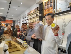 Kopi Robusta dari Indonesia, Paling Disukai di Mesir