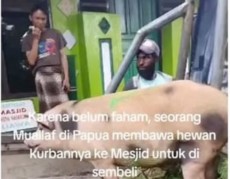 Viral Video Seorang Mualaf di Papua Kurban Babi