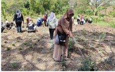 Gagas Program Etalase Toga, Ubaya dan UPN Latih Warga Mojokerto Budidaya Tanaman Organik