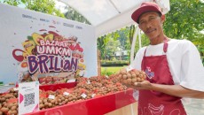 Pemberdayaan BRI Bikin Klaster Kelengkeng di Tuban Makin Bersinar