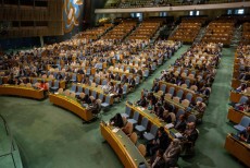 Kegagalan Diplomasi? Resolusi PBB untuk Palestina Menuai Kritik