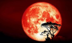 Fenomena Langka, Supermoon Pemburu Siap Terangi Langit Oktober 2024!