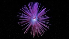 Fenomena Langka: Bintang Zombie Berhasil Selamat dari Ledakan Dahsyat Supernova, Para Ilmuwan Tercengang!