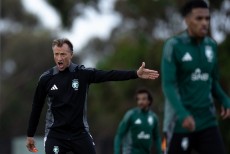 Jelang Laga Elang Hijau vs Garuda, Herve Renard Ungkap Keunggulan Timnas Indonesia