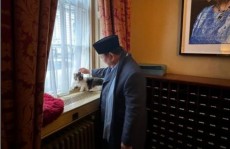 Potret Prabowo Bertemu Larry The Cat, Kucing PNS Kantor Perdana Menteri Inggris