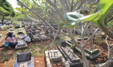 Menanam Tanaman di Atas Makam Hukumnya Sunnah