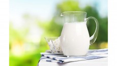 Konsumsi Susu Sapi Mentah Berpotensi Terpapar Virus Influenza