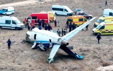 Serangan Burung jadi Penyebab Azerbaijan Airlines Jatuh?