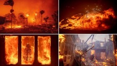 Kebakaran Hebat di Los Angeles Terjadi di 5 Wilayah Bersamaan, Terparah dalam Sejarah