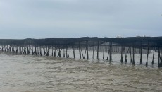 BREAKING: Pagar Bambu Laut Tangerang Ditolak Nelayan, LBH Jakarta dan Muhammadiyah Beri Somasi