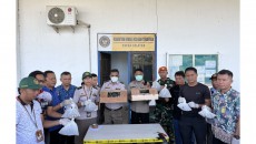 Barantin Gagalkan Penyelundupan Seratusan Satwa Dilindungi di Papua Selatan