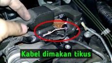 Trik Ampuh Bikin Kabel Motor Matic Tidak Digigit Tikus