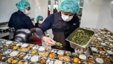 Rencana Serangga di Menu MBG, MUI: Kajian Fikih Hanya Sebut Belalang yang Halal