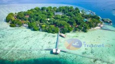 Pramono Bikin Gagasan Baru: Buka Wisata Kucing Seperti di Jepang di Pulau Seribu